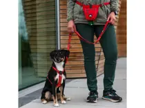 Dog Copenhagen comfort walk air harness small classic red - afbeelding 6