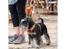Dog Copenhagen comfort walk air harness x-small orange sun - afbeelding 4