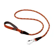 Dog Copenhagen urban rope leash large orange sun - afbeelding 1