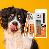 Dogslife Dental kit tandpasta - afbeelding 3