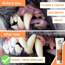 Dogslife Dental kit tandpasta - afbeelding 4