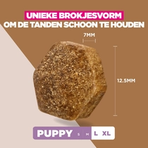 Eukanuba puppy large breed grain free rijk aan zeevis 12 kg Hondenvoer - afbeelding 4