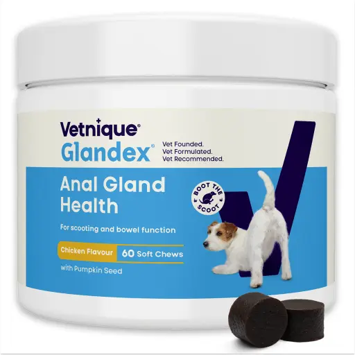 Glandex soft chew 240 gram (60 stuks) - afbeelding 1