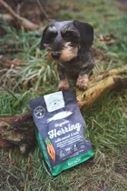 Go native organic herring & carrots for all ages 4 kg hondenvoer - afbeelding 5