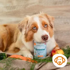 Grau Hokamix vitality booster kruiden poeder 2,5kg - afbeelding 3