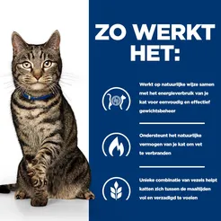 Hill's prescription diet feline metabolic weight management zalm 8kg Kattenvo - afbeelding 3