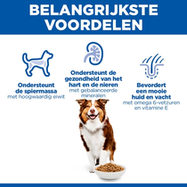 Hill's science plan canine mature adult 7+ medium breed kip 14 kg Hondenvoer - afbeelding 5