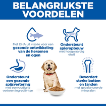 Hill's science plan canine puppy large breed kip 12 kg Hondenvoer - afbeelding 5