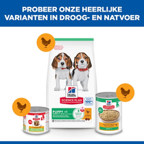 Hill's science plan canine puppy medium breed kip 14 kg Hondenvoer - afbeelding 5