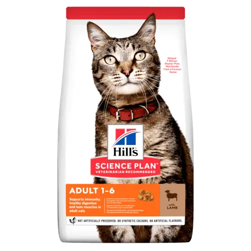 Hill's science plan feline adult lam 10 kg Kattenvoer