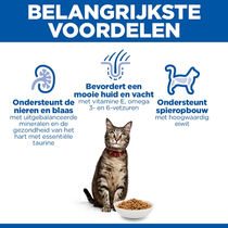 Hill's science plan feline adult zalm 10kg kattenvoer - afbeelding 4