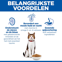 Hill's science plan feline mature adult 7+ kip 10 kg Kattenvoer - afbeelding 5
