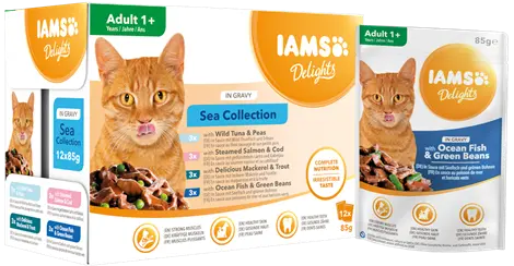 Iams cat delight adult sea collection in gravy 12x85 gram kattenvoer - afbeelding 1