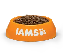 Iams cat kitten& junior kip 3 kg Kattenvoer - afbeelding 3