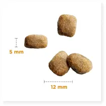 Iams dog senior small&medium breed 12 kg Hondenvoer - afbeelding 2