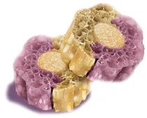 Knash Woofa bites dental calming paarse zoete aardappel kamille 100 gr - afbeelding 2