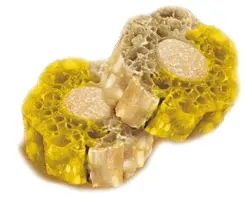 Knash Woofa bites dental digestive pompoen gember 100 gr - afbeelding 2