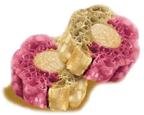 Knash Woofa bites dental vitality bosbessen rode bieten 100 gr - afbeelding 2