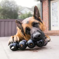 Kong extreme goodie ribbon natural rubber zwart medium hondenspeelgoed - afbeelding 2