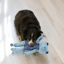 Kong floppy knots hippo jumbo x-large 48cm - afbeelding 2