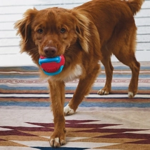 Kong jaxx brights ball met touw medium hondenspeelgoed - afbeelding 7
