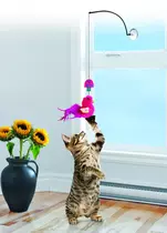 Kong Kattenspeelgoed window teaser - afbeelding 2