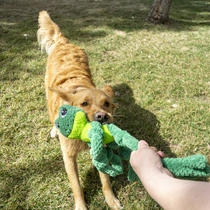 Kong knots frog groen large/extra large 44cm - afbeelding 2