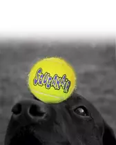 Kong net a 2 tennisbal + piep large Hondenspeelgoed - afbeelding 2