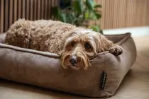 Lex&Max basket Chigago orthopedisch taupe 100x80 cm - afbeelding 2