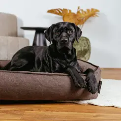 Lex&Max basket paris orthopedisch chocolate 100x80 cm - afbeelding 2