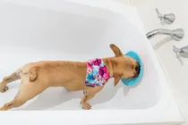 Lickimat hond splash turquoise 19 cm likmat - afbeelding 2