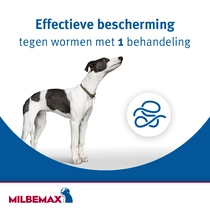 Milbemax hond groot 4 smakelijke  ontworming tabletten - afbeelding 2