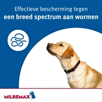 Milbemax hond klein 4 ontworming tabletten - afbeelding 2