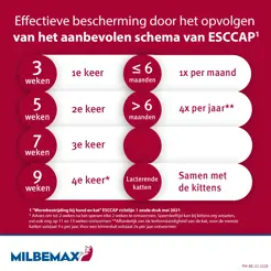 Milbemax kat groot 4 ontworming tabletten - afbeelding 6