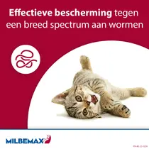 Milbemax kat klein 2 ontworming tabletten - afbeelding 3