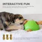 Nina ottosson dog snuffle n'treat ball - afbeelding 5