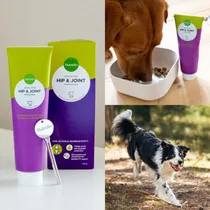 Nutrolin Hip & Joint paste 200 gram - afbeelding 4