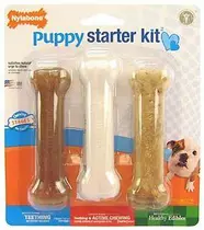 Nylabone puppy starter kit regular