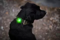 Orbiloc dog dual safety light green led - afbeelding 3