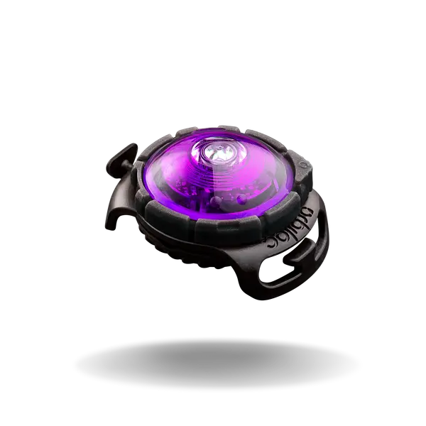 Orbiloc dog dual safety light purple led - afbeelding 1