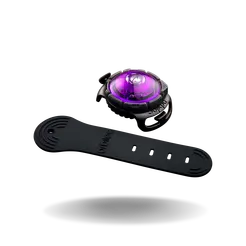 Orbiloc dog dual safety light purple led - afbeelding 2