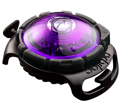 Orbiloc dog dual safety light purple led - afbeelding 1