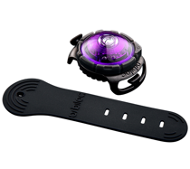 Orbiloc dog dual safety light purple led - afbeelding 2