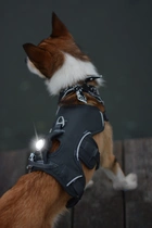 Orbiloc dog dual safety light white led - afbeelding 3