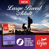 Orijen dog adult large breed whole prey 11.4 kg Hondenvoer - afbeelding 2