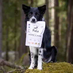 Pala dog gently air-dried (recipe#2) Chicken&Salmon 400 gram - afbeelding 3