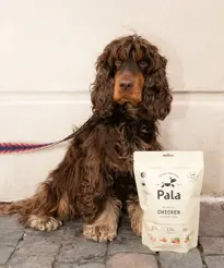 Pala dog gently air-dried (recipe#5) Chicken 400 gram - afbeelding 3