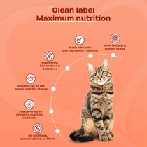 Pawfect freeze dried cat treats shrimps 50gr. - afbeelding 3