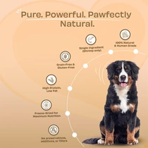 Pawfect freeze dried dog treats shrimps 60gr. - afbeelding 3