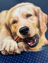 Pedigree dentastix maxi multipack 21 stuks - afbeelding 3